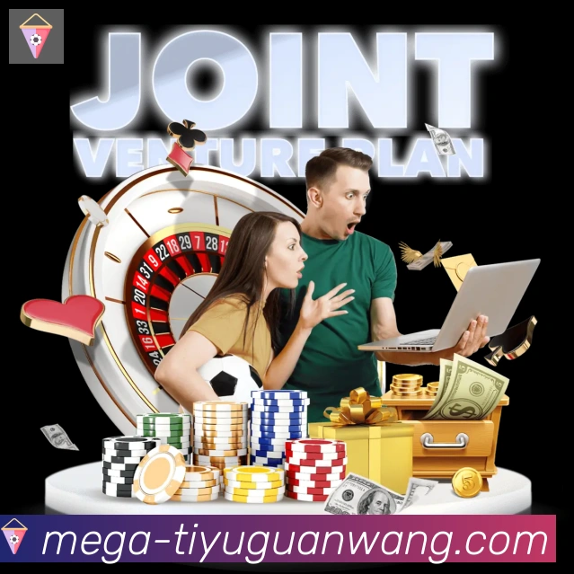 未来规划